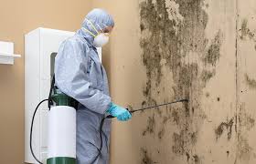 Mold Documentation for Insurance Claims in Bastrop, LA